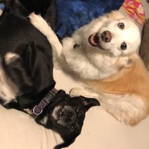 Meet your Posher, Bryan